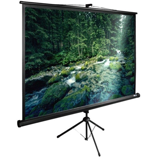 Экран Cactus 220x220см TriExpert CS-PSTE-220x220-BK 1:1 напольный рулонный черный