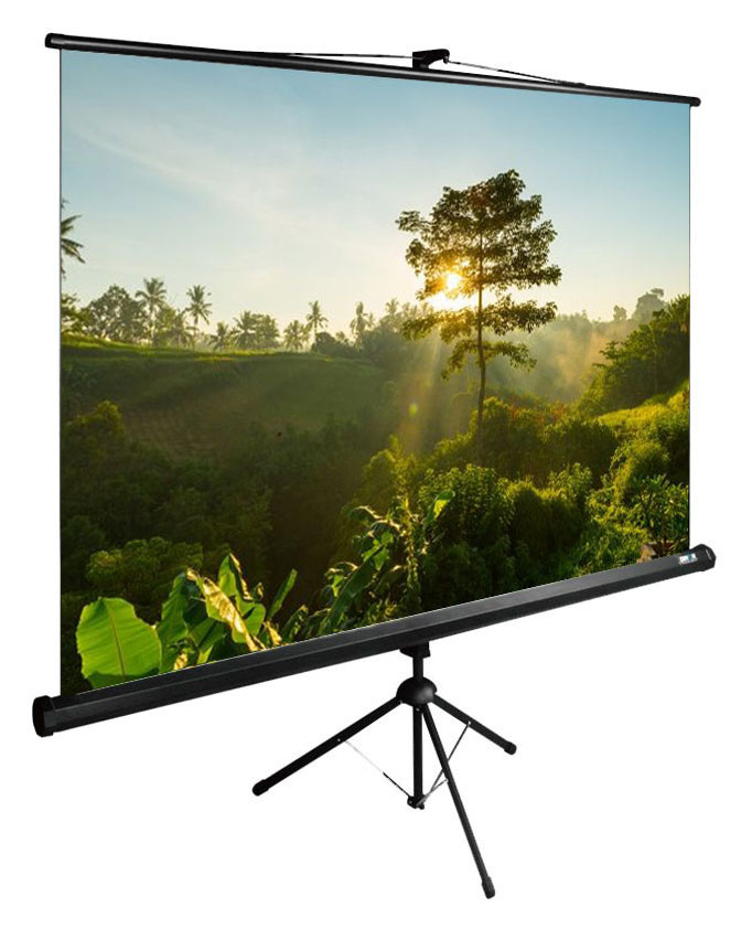 Экран для проектора Cactus 200x200см TriExpert CS-PSTE-200х200-BK 1:1 напольный рулонный