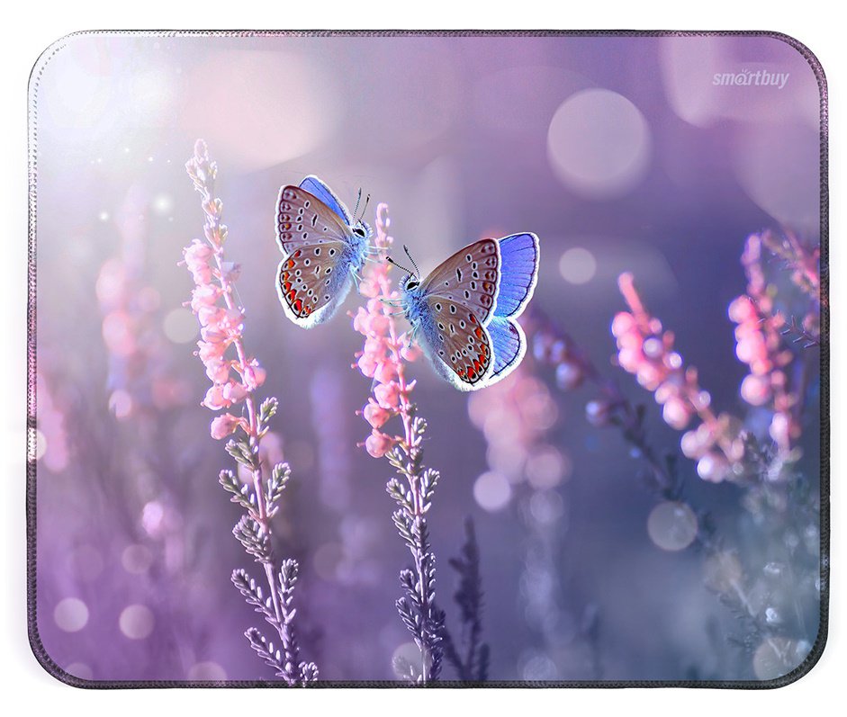 Коврик Smartbuy Summer S-size, 280*230*3мм (SBMP-109-SM)