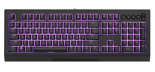 Клавиатура игровая Razer Cynosa V2 (RZ03-03400700-R3R1)