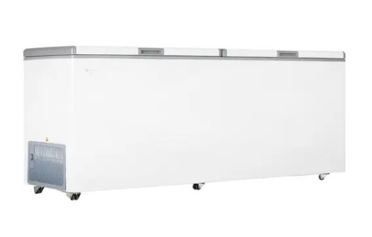 Морозильный ларь FROSTOR F 800 SD белый