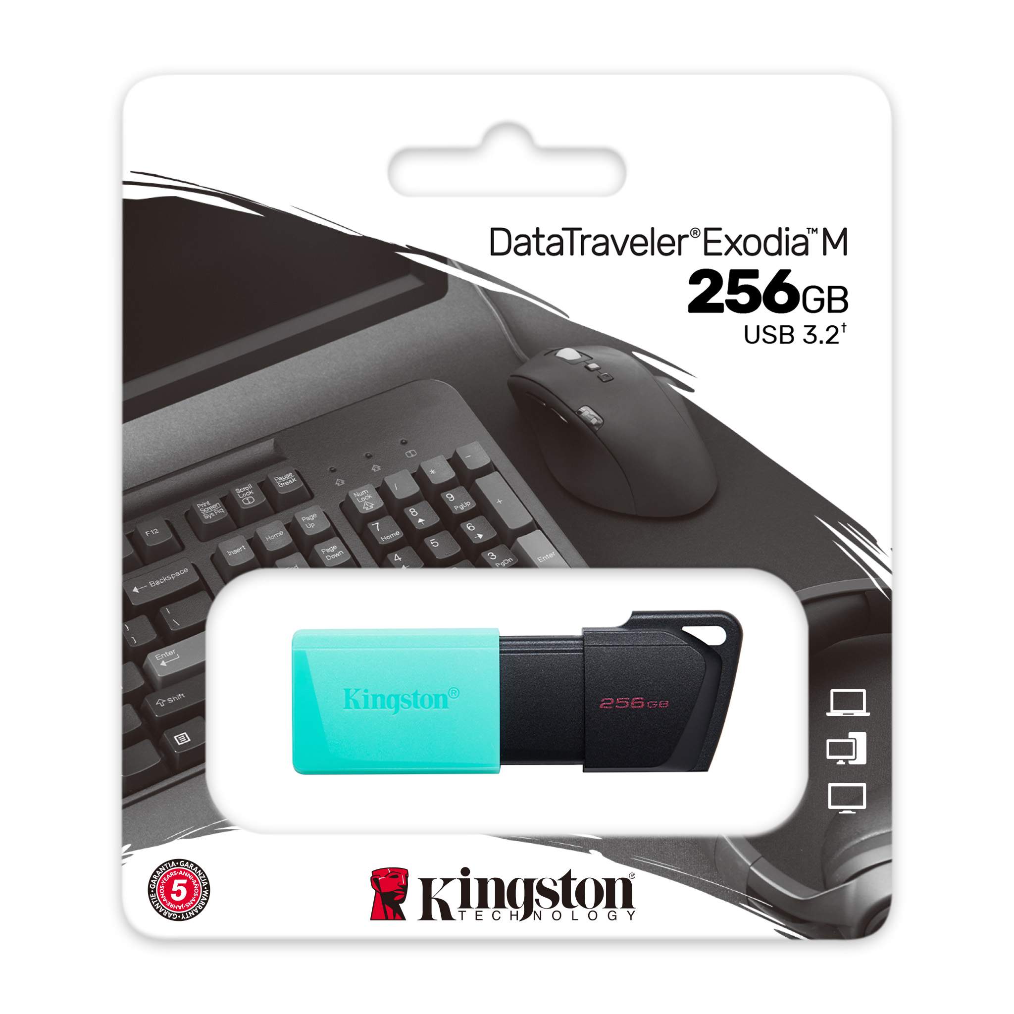 Флеш накопитель 256Gb USB 3.2 Kingston DataTraveler Exodia M (DTXM/256GB)