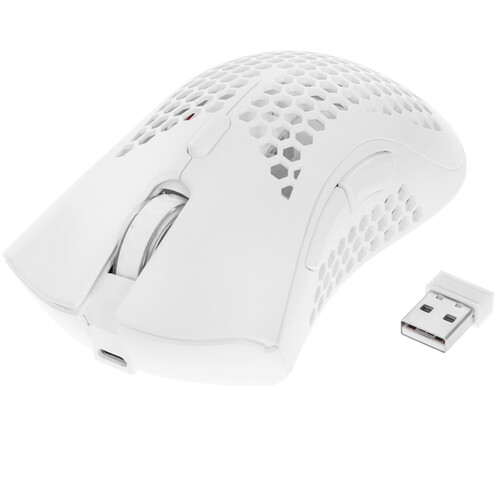 Мышь беспроводная игровая PANTEON PS77 W, белая USB