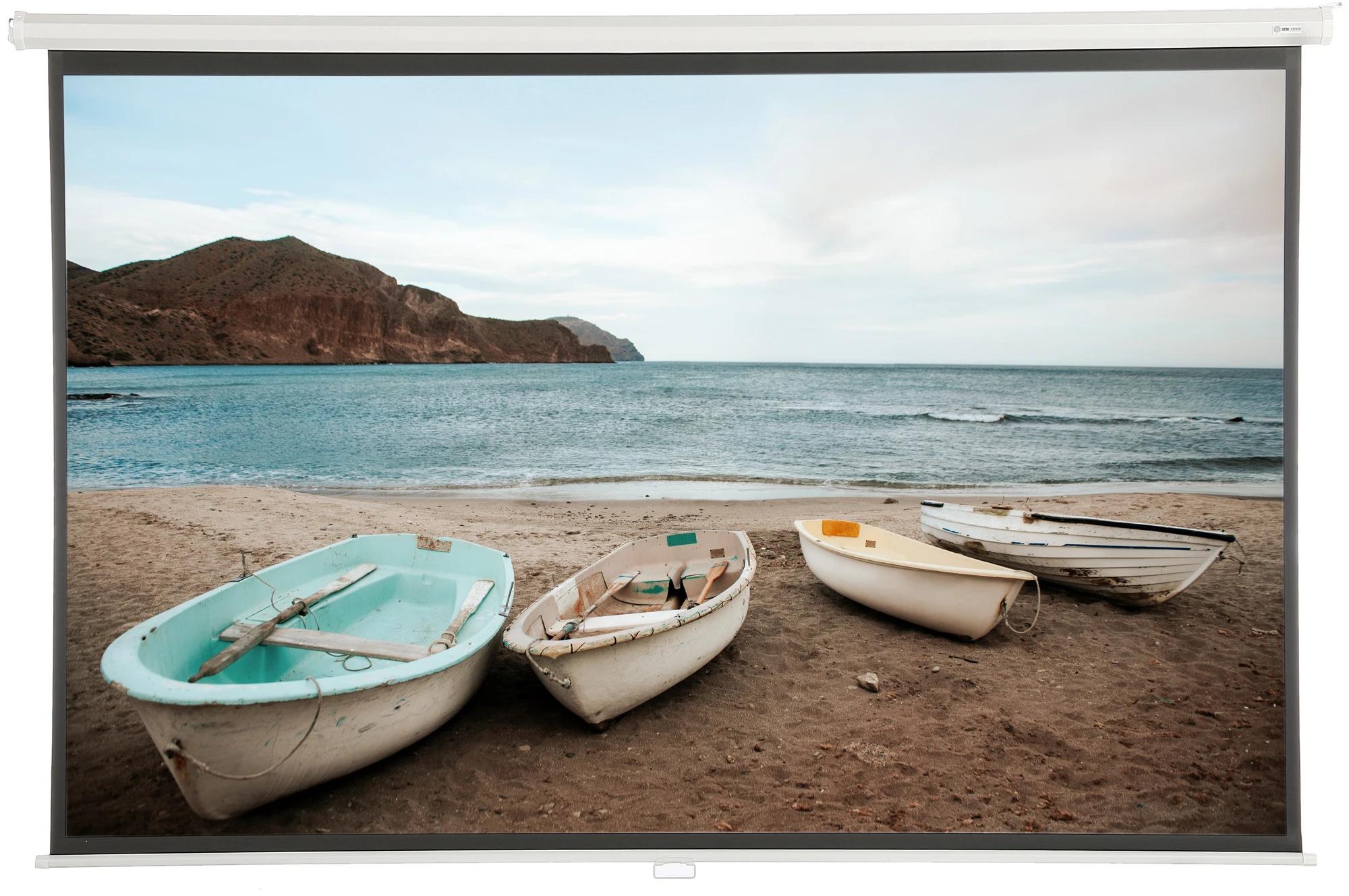 Экран для проектора Cactus 220x138см WallExpert CS-PSWE-220x138-WT 16:10 настенно-потолочный бел.